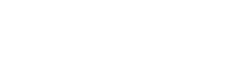 ng-logo