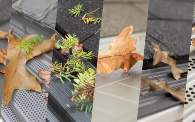 How Gutter Topper Gutter Covers Keep Leaves and Twigs Out of Your Gutters