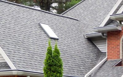 Eco-friendly Gutter Protection: Gutter Topper Have Many Sustainable Solutions for Contractors and Retailers