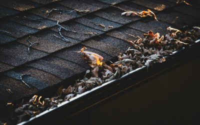 Gutter Topper’s Leaf Terminator: The Ultimate Gutter Protection Solution for Retailers and Home Remodelers