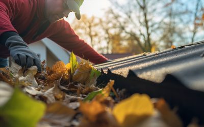 Preparing Your Gutters for Spring: Essential Maintenance Tips and Gutter Protection Solutions