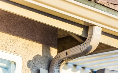 Preparing Your Gutters for Spring: Essential Maintenance Tips and Gutter Protection Solutions