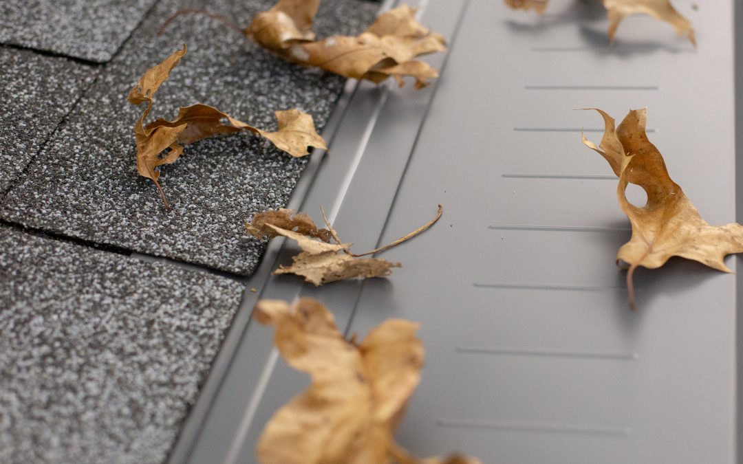 Sustainable Gutter Protection: Environmentally-Friendly Solutions