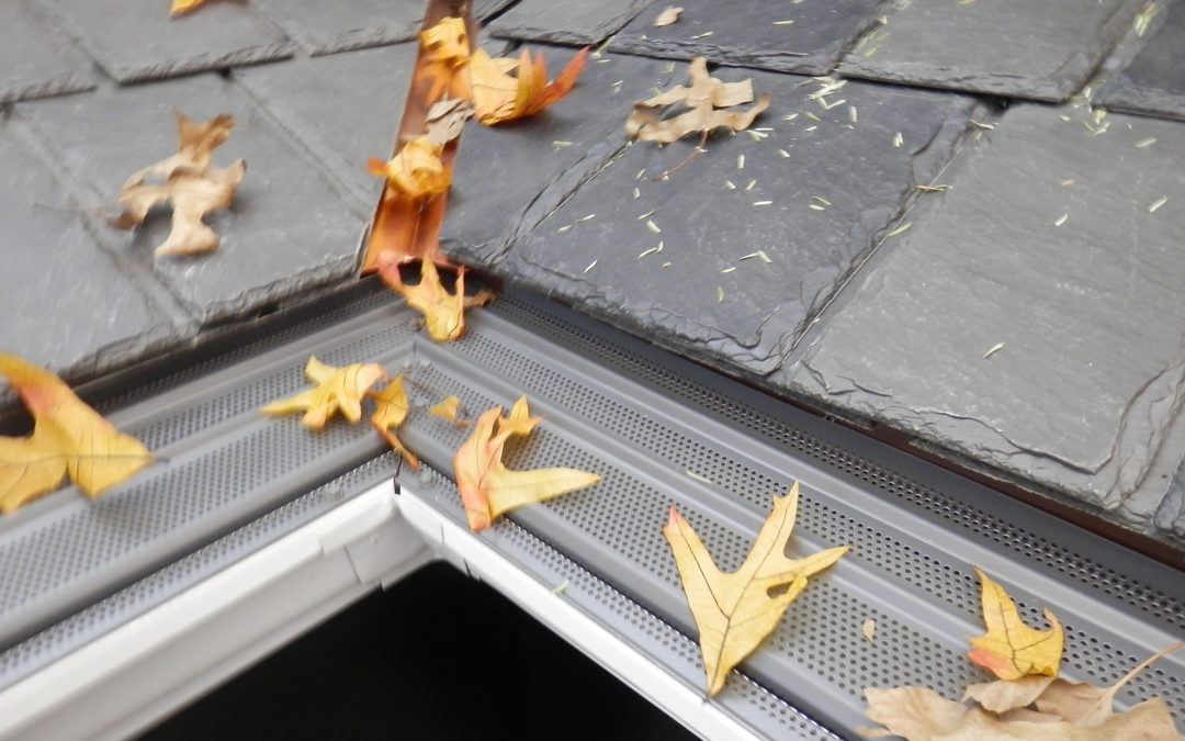 Leaf Terminator®: The Best Solution for Debris-Free Gutters – Gutter Topper