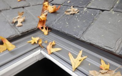 Leaf Terminator®: The Best Solution for Debris-Free Gutters