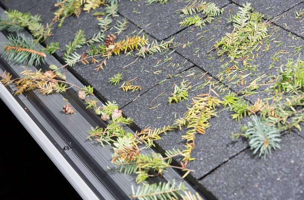 Boost Project Efficiency with Quality Gutter Covers