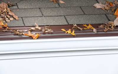 Simplifying Roof Maintenance with Needle Guard Gutter Covers