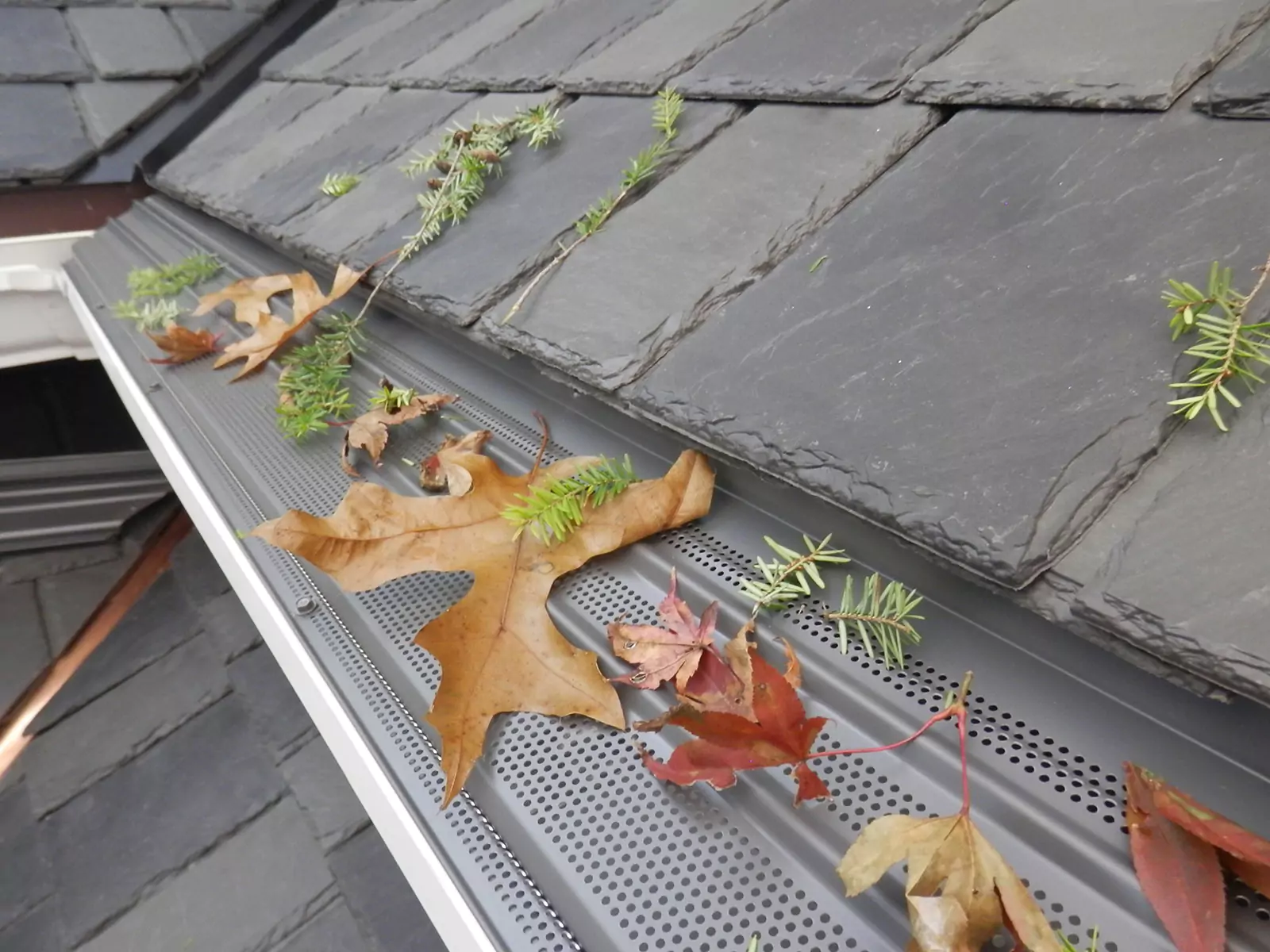 leaf terminator